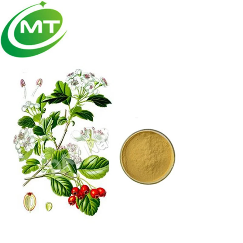 Bulk Solvent Extracted Horny Goat Plant Extract Food Grade Epimedium Extract
