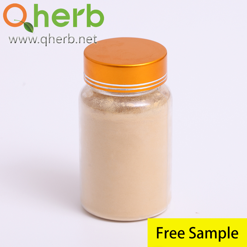 Fruit Extract Natural Goji Berry Extract