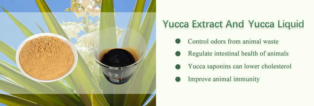 Yucca Extract Liquid
