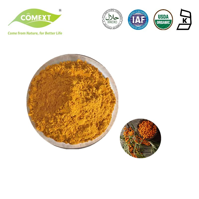 Comext Food Grade Sea Buckthorn Powder Plant Extract 40% Flavonoids