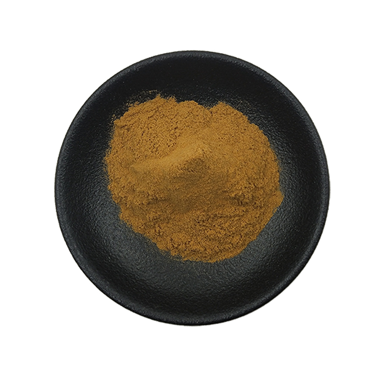 Pure Plant Extract Powder Fenugreek Saponin 50% Organic Fenugreek Seeds Extract