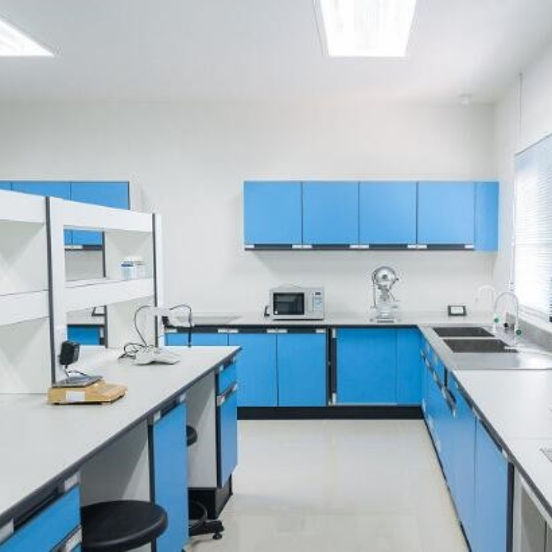 Herbal Extract Powder Cosmetic Grade Loquat Leaf Extract 90% Ursolic Acid for Antisepsis CAS 77-52-1