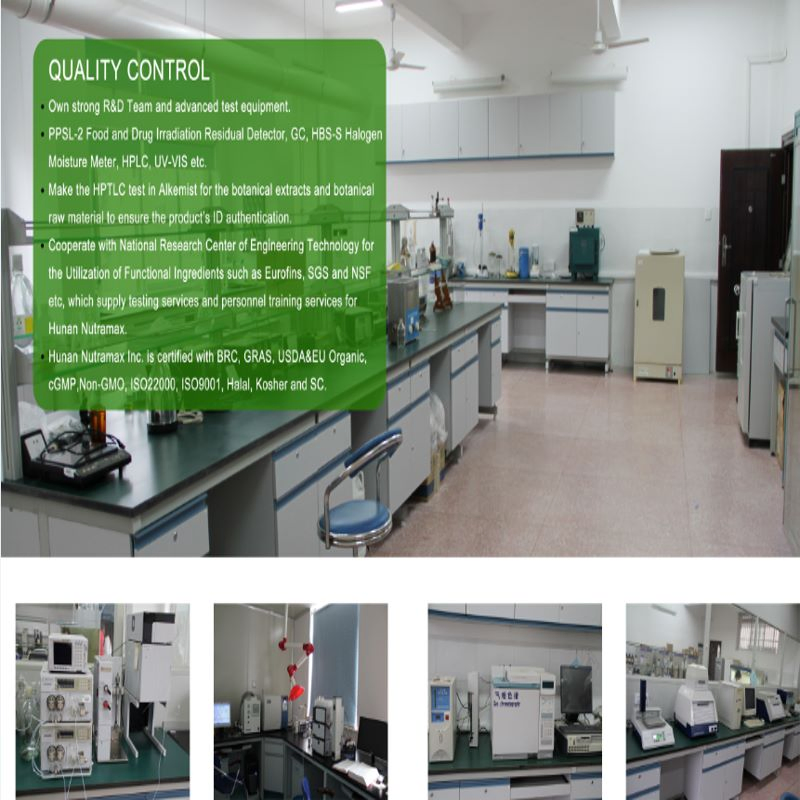 S-Allylcysteine 0.1% Fermented Black Garlic Extract with Herbal Extract