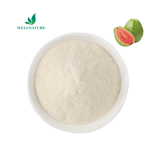 Food Additive Organic Natural Water Souble Guava Drink Fruit Juice Extract Guava Powder