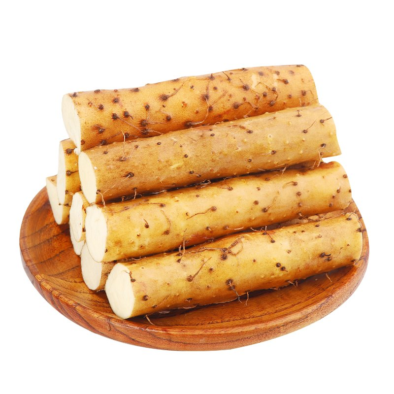 Factory Supply Wild Yam Extract Powder 10%-20% Diosgenin Yam Root Extract