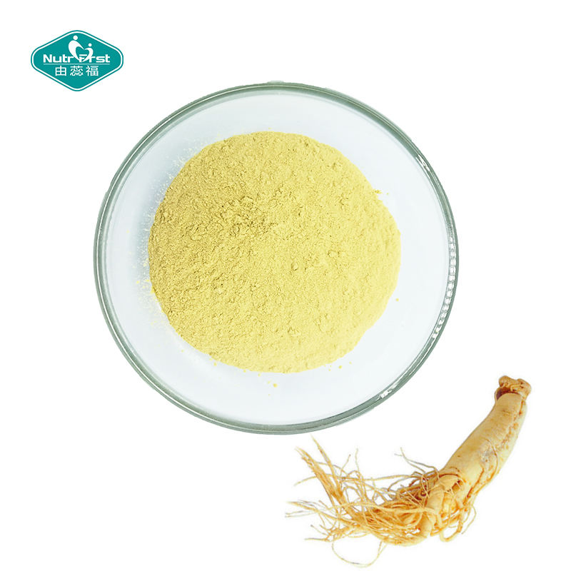 Healthcare Herb Extract Plant Ginsenoside Bulk Panax Ginseng Root Extract Powder