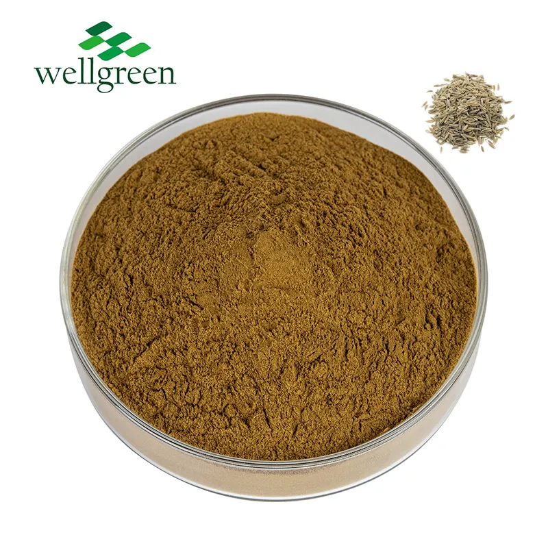 Natural Herbal Fennel Extract