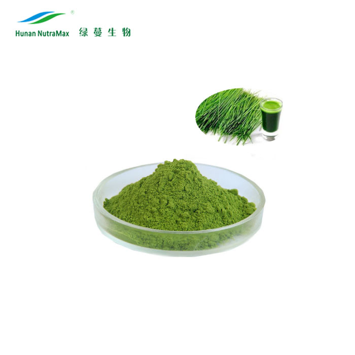 Herbal Supplements Wheat Grass Extract Powder