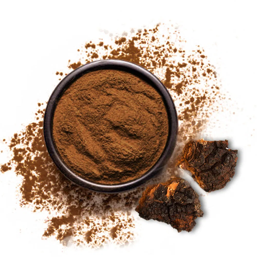 Bulk Customization of Chaga Mushroom Extract Powder Plant Extract Medicinal Mushroom