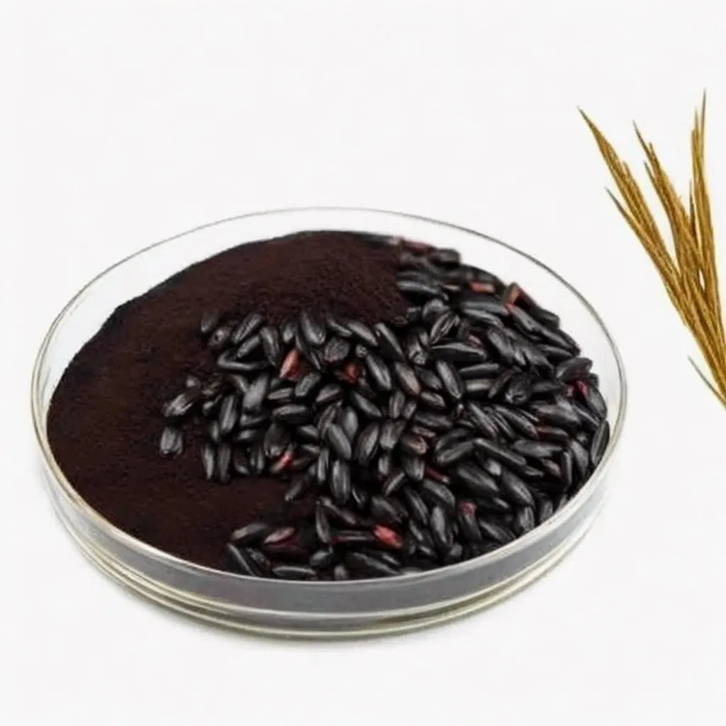 Best Price Food Grade Plant Extract Black Rice Extract Powder 25% Anthocyanin Natural Black Rice Seed Extract