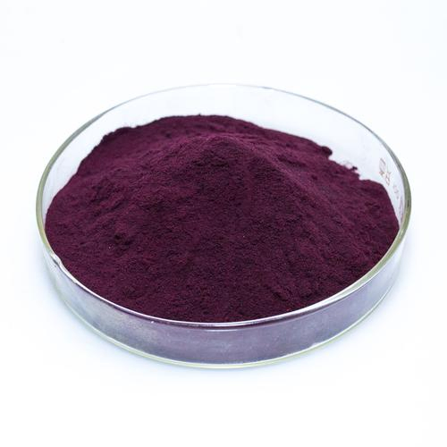 Higher Quality Natural Fruit Powder Bilberry Extract with 25% Anthocyanidins 36% Anthocyanins