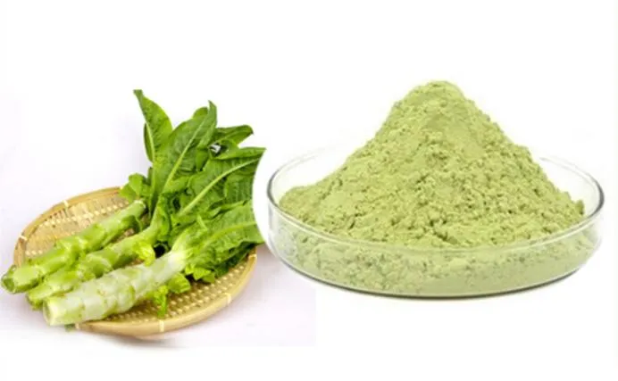 Wild Lettuce Powder Specification