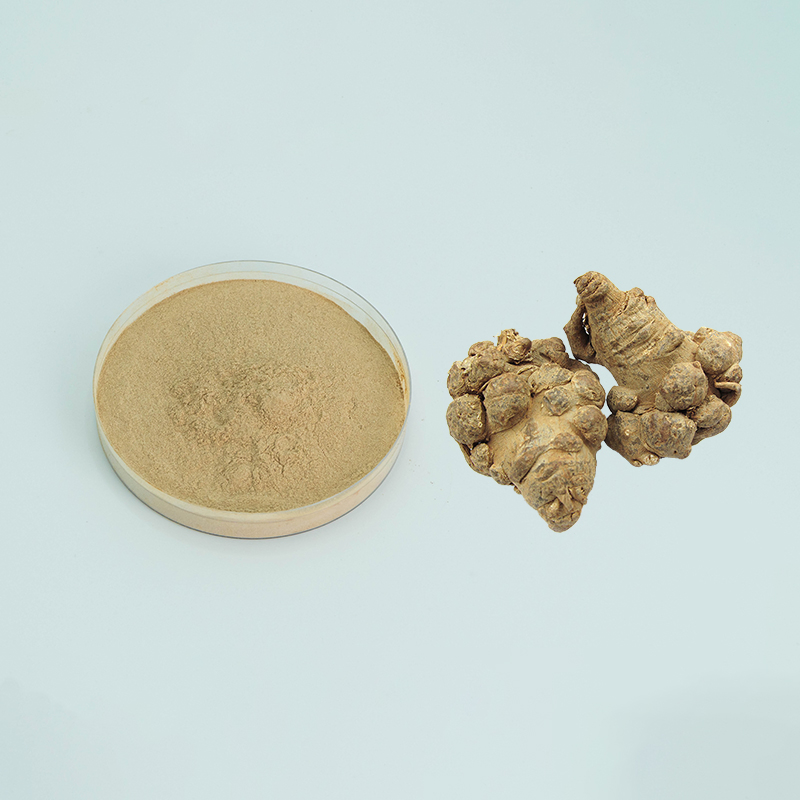 Factory Supply10% 40% 80% Notoginsenosides Panax Notoginseng Root Extract