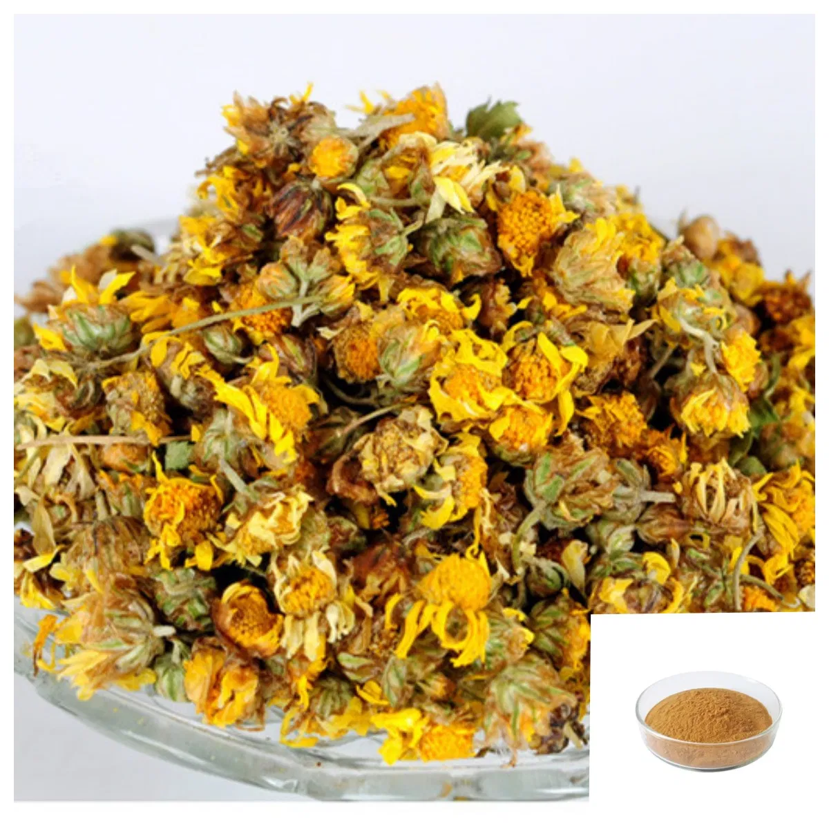 Pharmaceutic Use Chrysanthemum Extract Chamomile Powder Herbal Extract Medicine and Cosmetics Use