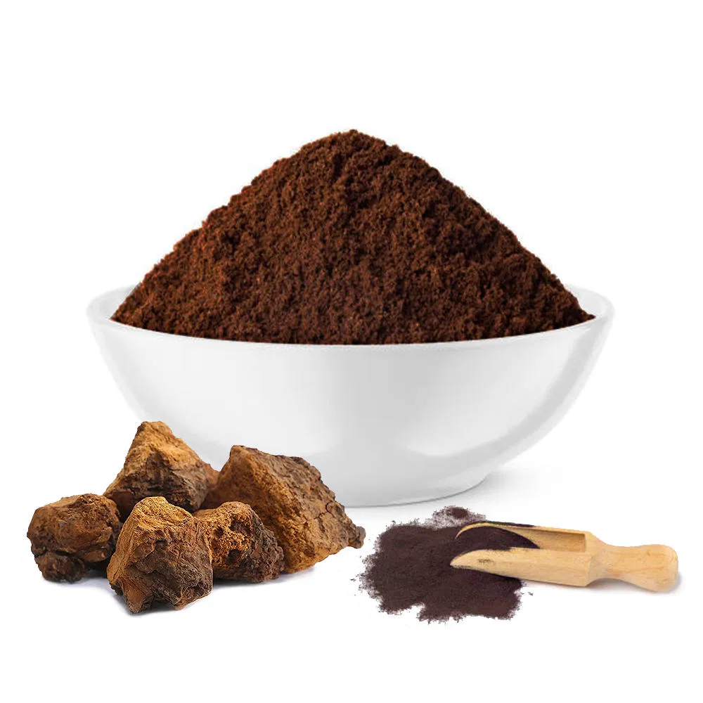 Chaga Mushroom Extract Powder Medicinal Mushroom Extract Pure Healthy Herbal Plant