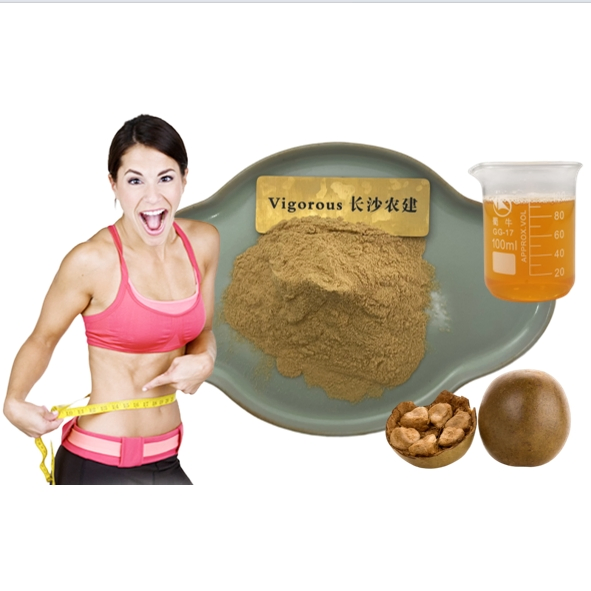 Organic Natural Sugar Monk Fruit Sweetener Luo Han Guo Extract Powder