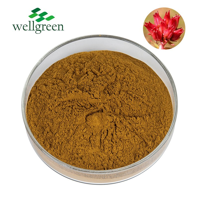 Natural Standardized Salidroside Powder for Stress Relief &amp; Energy with GMP Certificate, 1%-98%Rhodiola Rosea Extract
