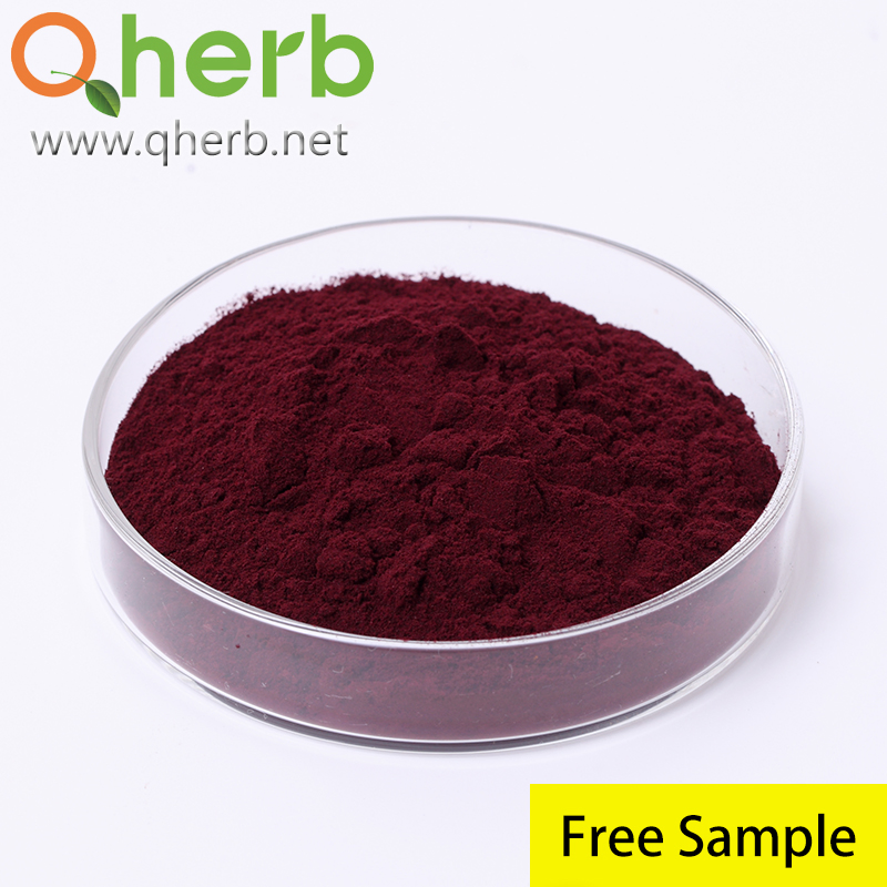 Anti-Oxidation Herbal Extract Cosmetic Ingredient 100% Natural Anthocyanins Powder Bilberry Extract