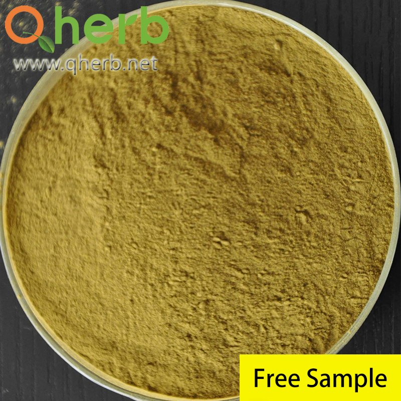 Cichoric Acid Organic Echinacea Purpurea Extract