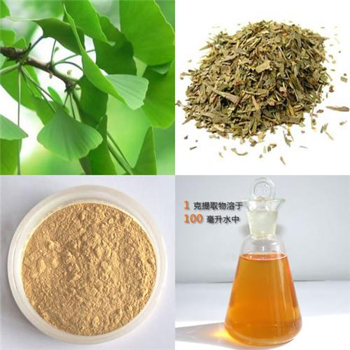 100% Natural Water Soluble 24% Ginkgolides /6% Flavonoids Ginkgo Biloba Leaf Extract Powder