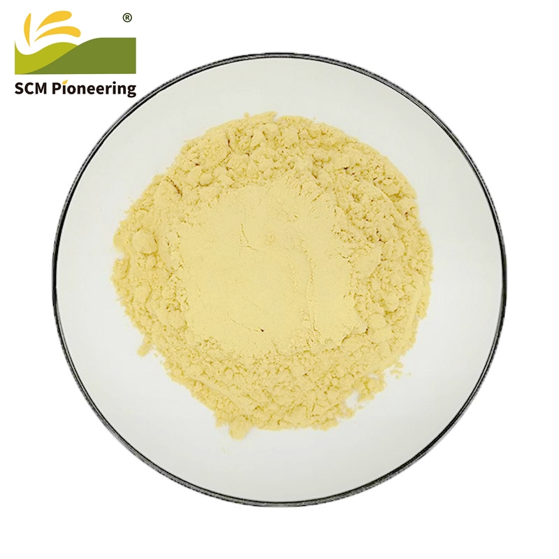 The Factory Supplies Natural Ginger Extract at The Best Price