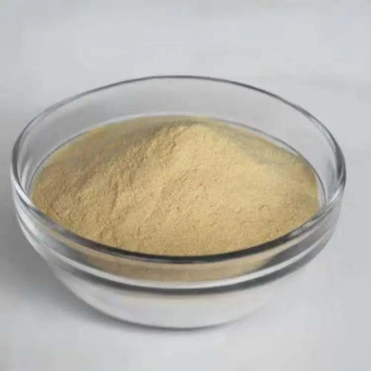 Health Care Produc Plant Extract Food Grade Powder Fermented Yeast Extract