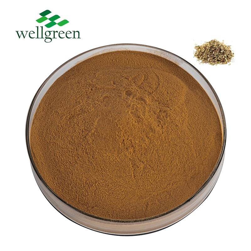 Wholesale Price Natural Herbal Sweet Fennel Extract Powder/ Liquid
