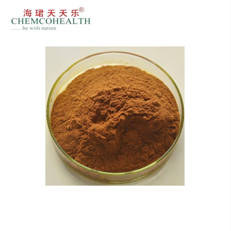 Notoginsenosides 1%-40%HPLC Notoginseng Root Extract