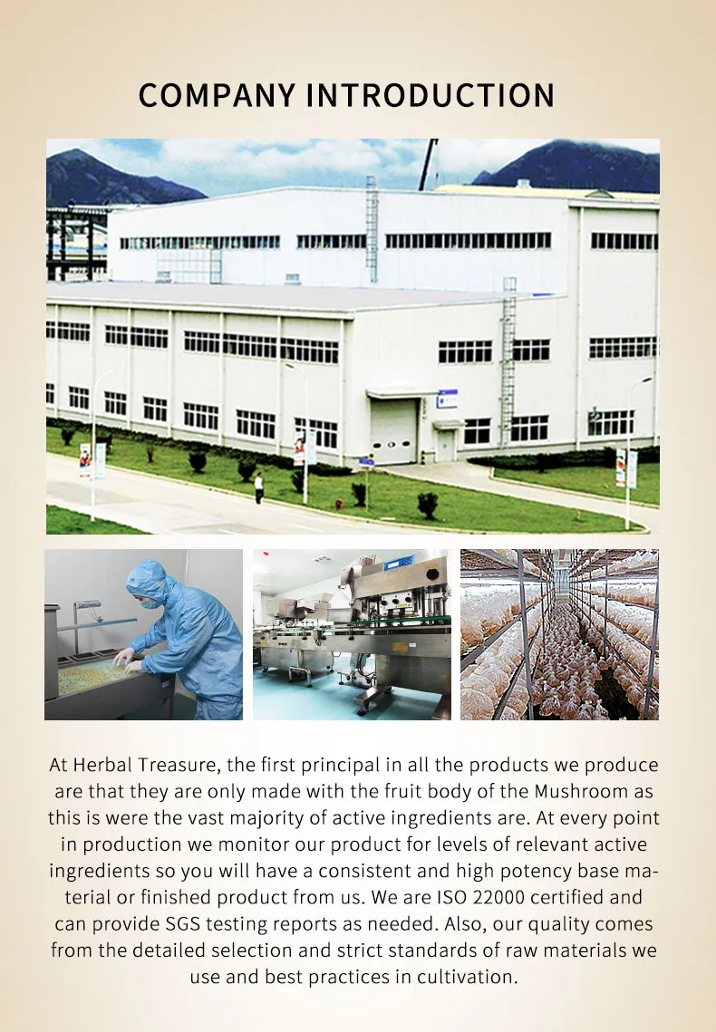 Cordyceps Extract Capsules 6