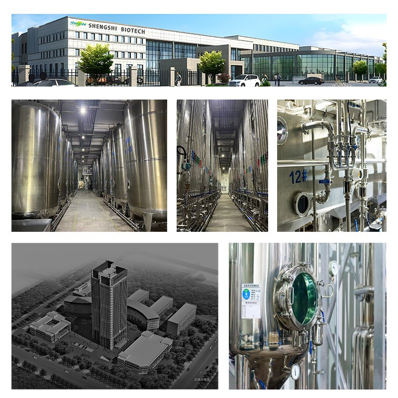 Factory Supply Maca Root Extract Powder Lepidium Meyenii Extract, Peruvian Ginseng Extract OEM ODM CAS 1216611-34-9 Manufacturer