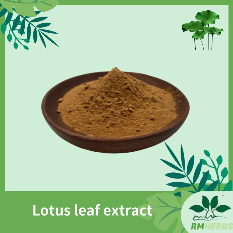 Pure Lotus Leaf Extract