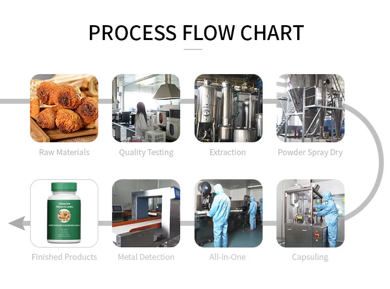 Organic Agaricus Blazei Extract Powder Pure Form