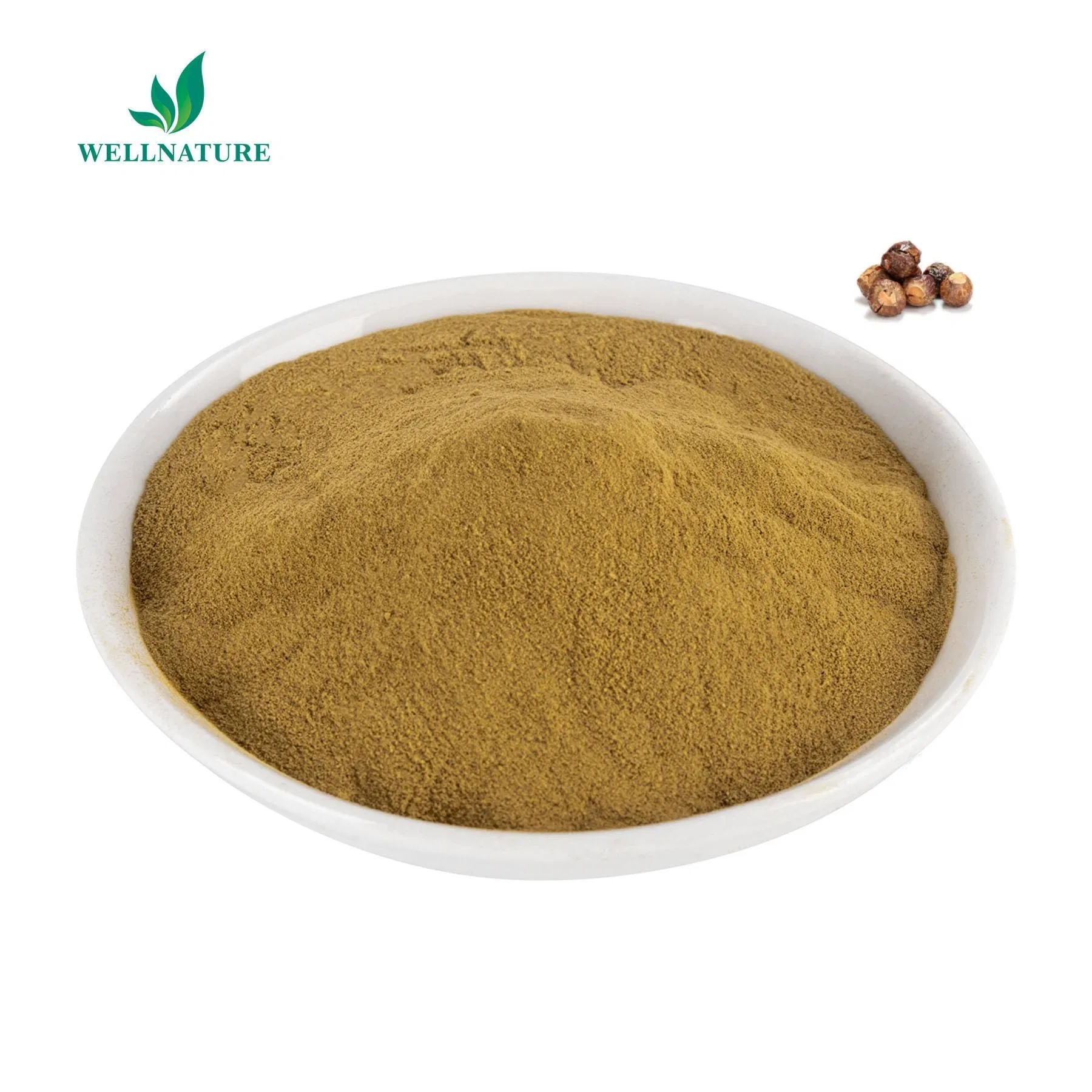 Sapindus Mukorossi Gaertn Soapberry Fruit Extract Powder Foaming Agent Soap Nut Extract