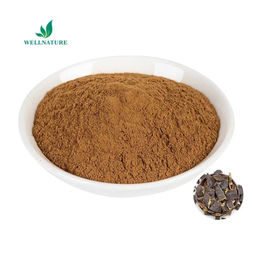 Hot Selling Organic Sapponaria Plant Extract 10: 1 Quillaja Saponaria Extract Powder