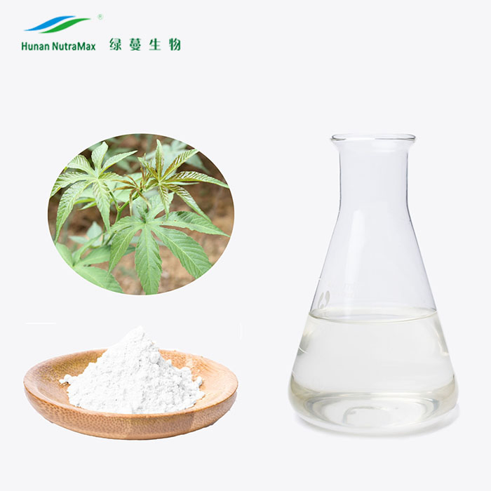 Factory Supply Sweet Tea Extract 70%~85% Rubusoside Herbal Extract