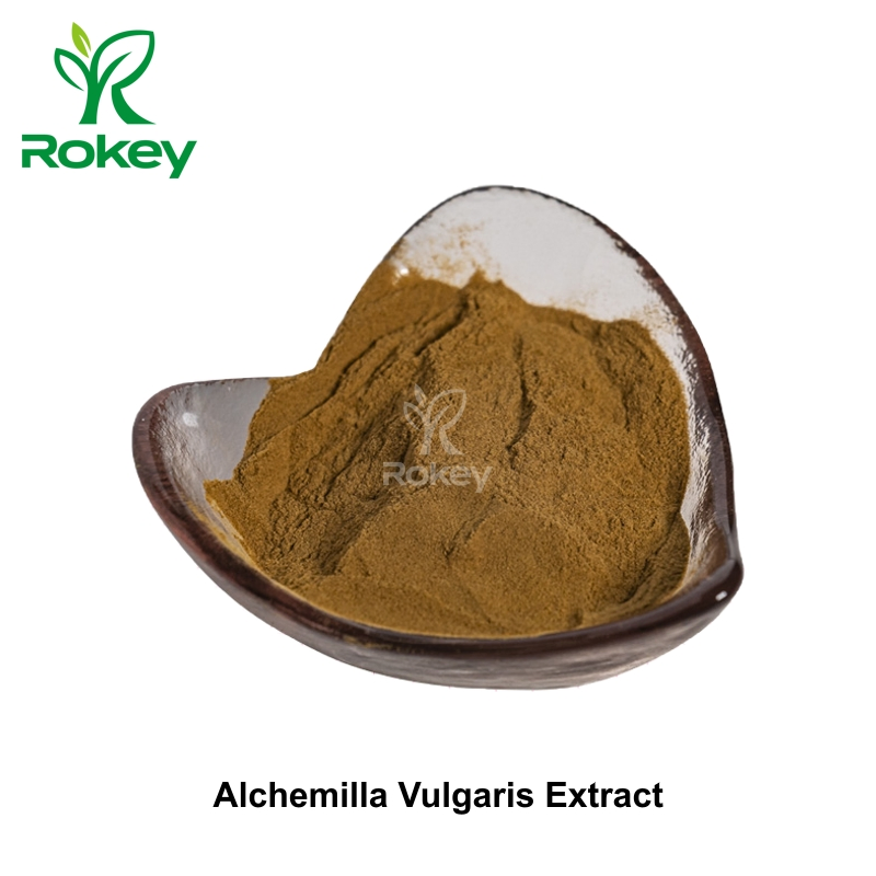 Potent Herbal Support for Skin &amp; Wellness Alchemilla Vulgaris Extract Powder