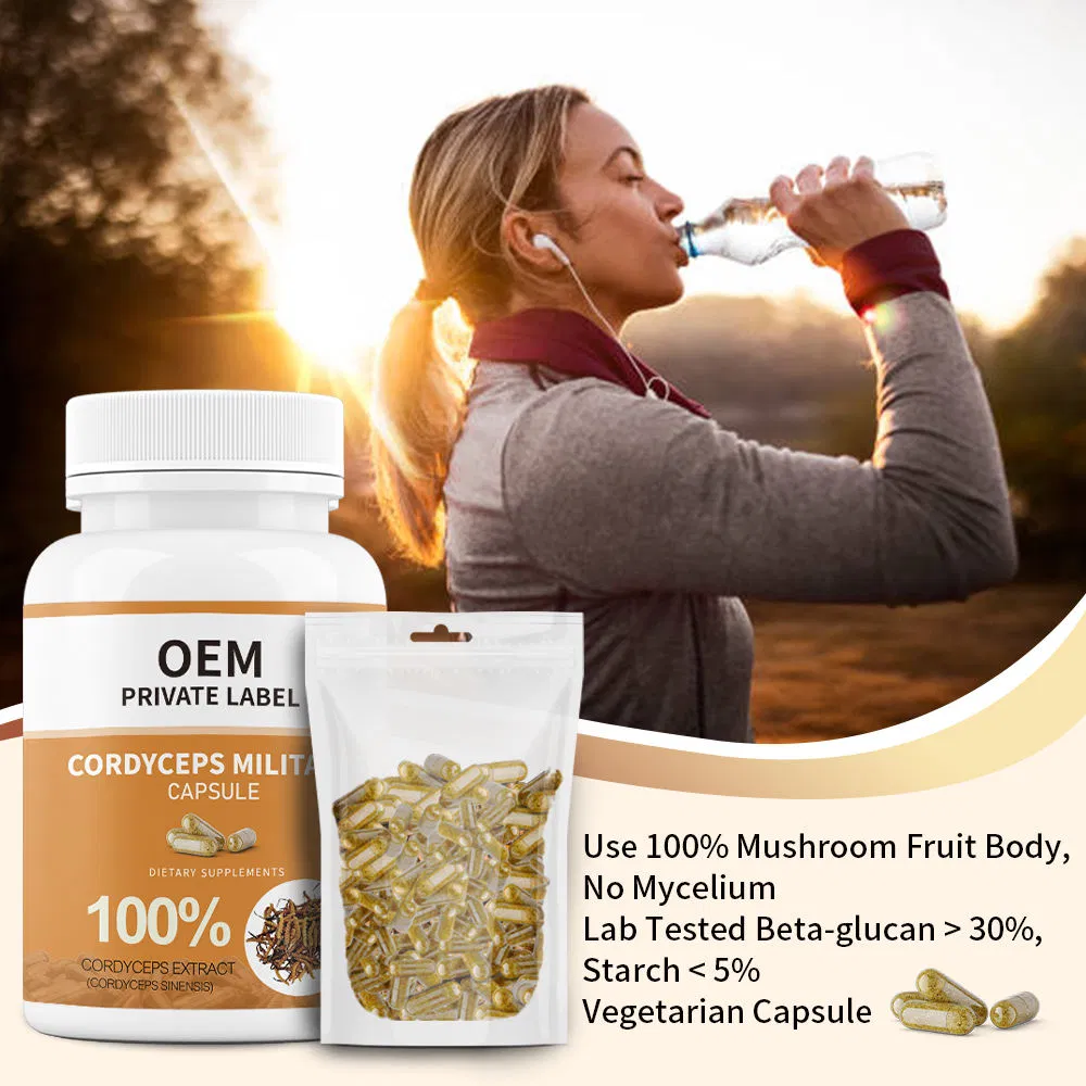 OEM Herbal Supplements Cordyceps Extract Capsules Cordyceps Sinensis Powder Mushroom Extract