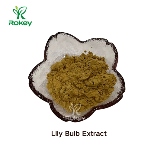 Premium Botanical Supplement &amp; Skin Care Ingredient Pure Powder Lily Bulb Extract