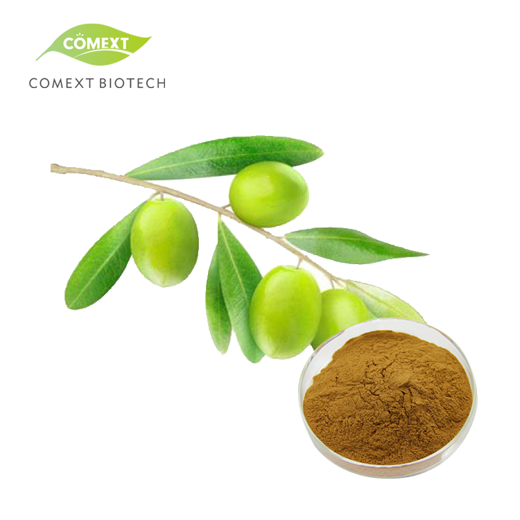 Factory Supply Comext ISO Fssc Halal Kosher Manufacturer California Warehouse USA Stock 10% 20% Oleuropein Powder Olive Leaf Extract