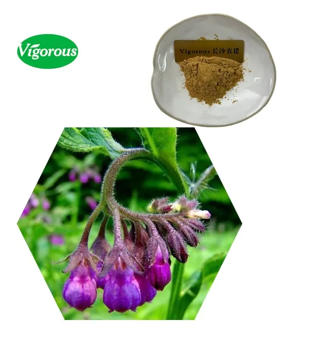 Gromwell Root Extract Powder