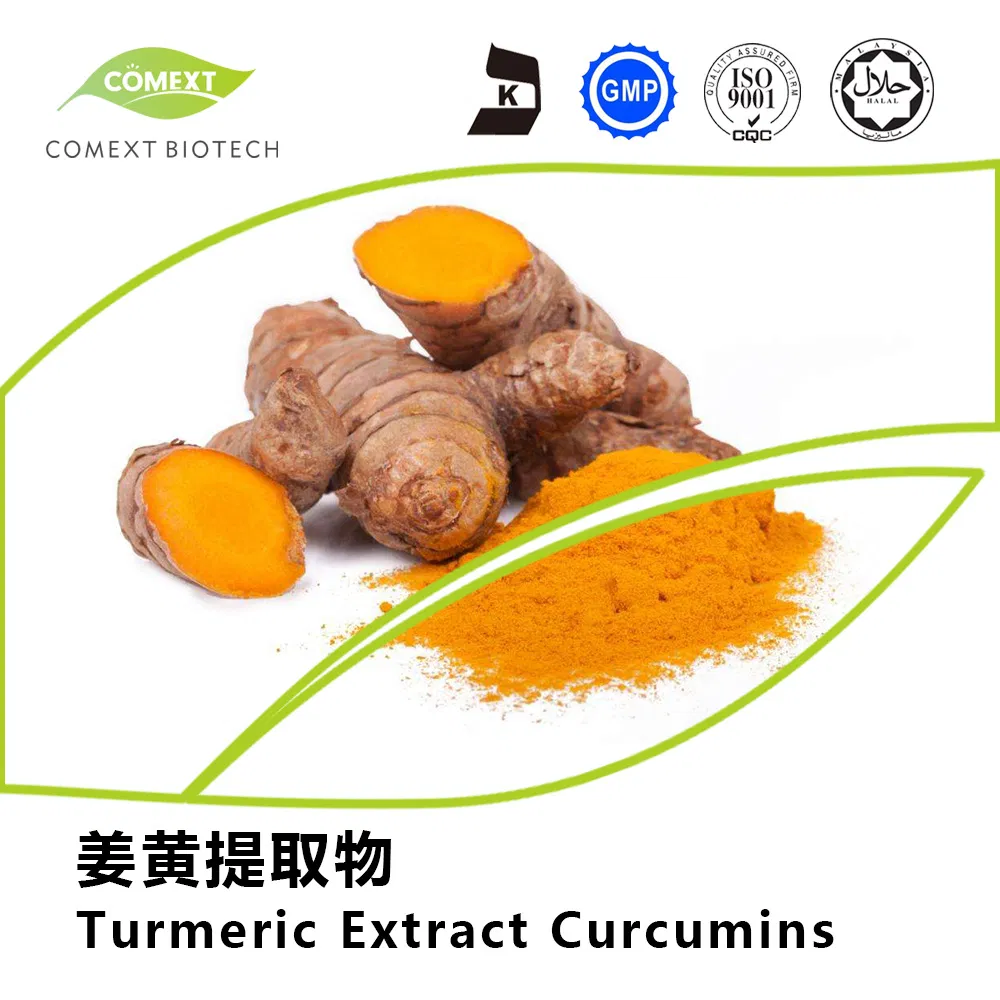 Turmeric Extract