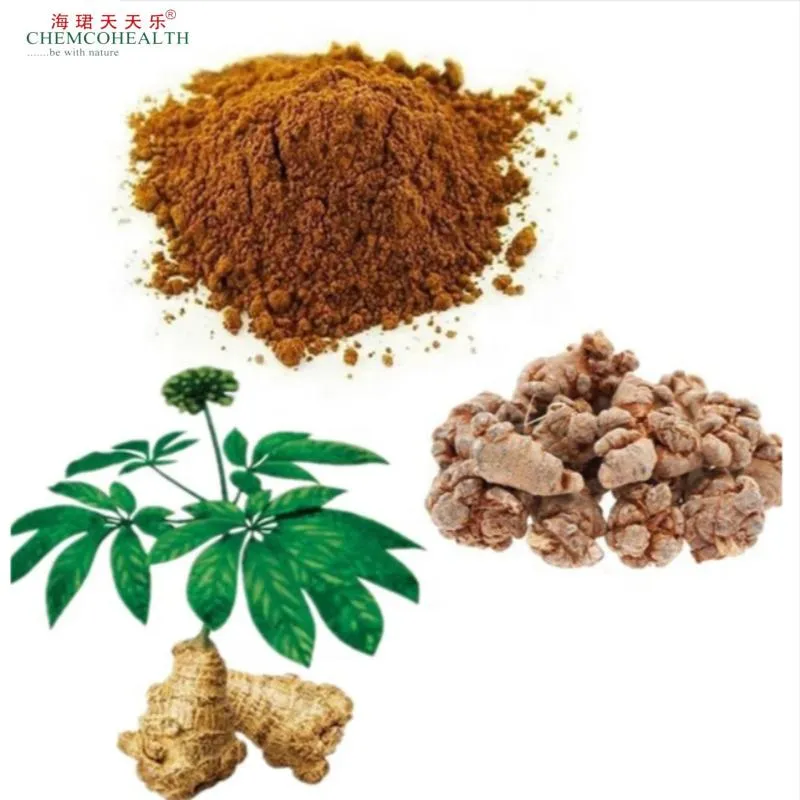Notoginseng Root Extract Powder