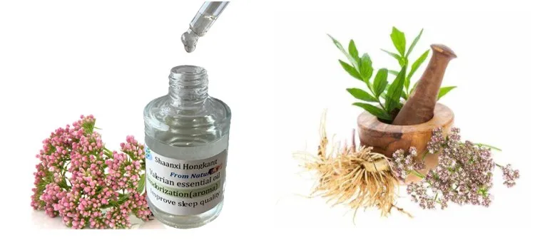 Valerian Root Extract