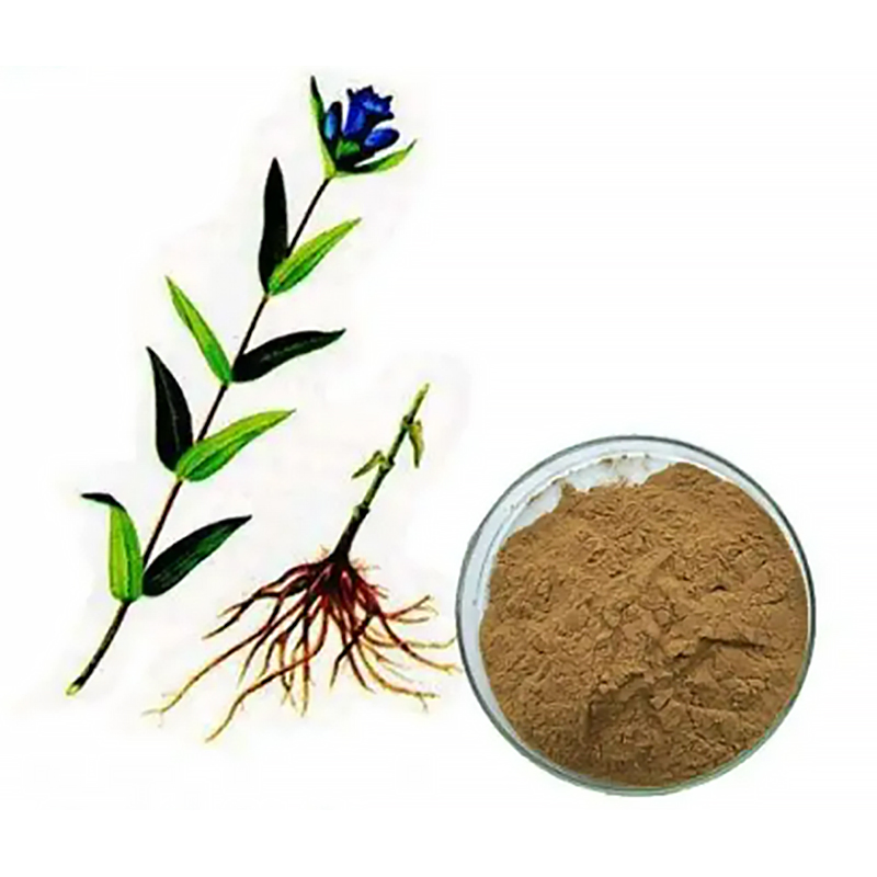 Gentiana Extract 10: 1 Gentiana Scabra Root Brown Yellow Powder High Quality Plant Extract Powder for Pharmaceutical