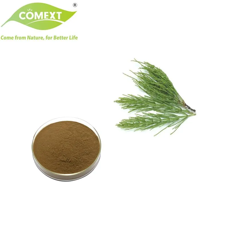 Horsetail Extract Powder