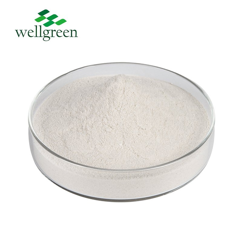 Wellgreen Hot Selling Yam Powder Natural Plant Wild Yam Extract 98% Diosgenin