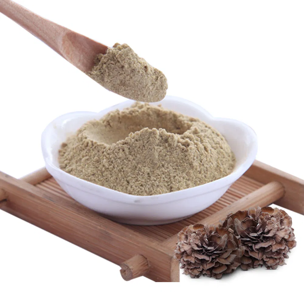 High Quality Dried Maitake Mushroom Extract Powder Medicinal Mushroom Plant Extract