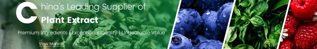 Broccoli Sprout Extract Banner