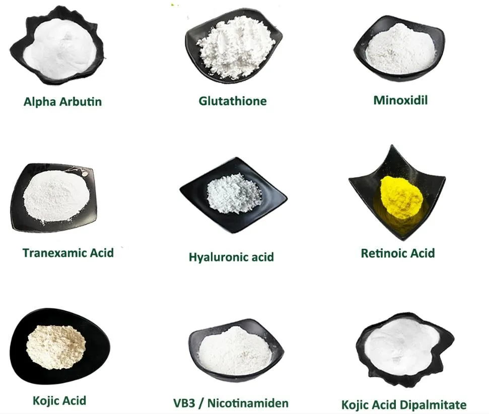 Deoxyarbutin Powder Presentation