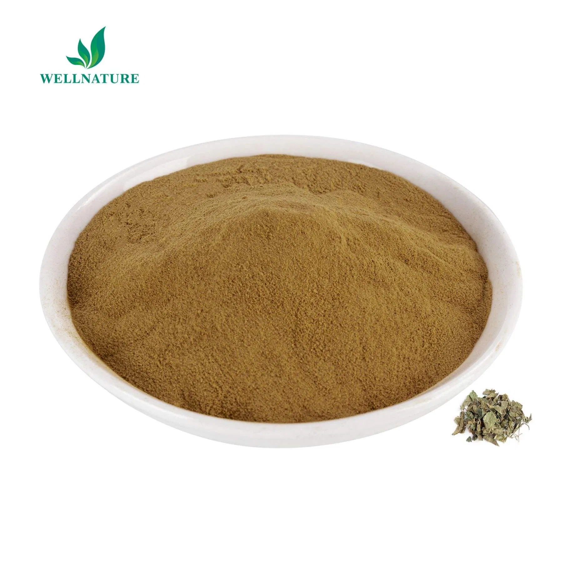 Rich in Antioxidants and Flavonoids for General Wellness, Traditional Herbal Tea and Health Products Mulberry Leaf Extract